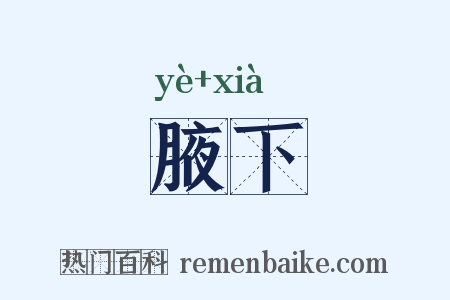 腋下是什么意思的图片